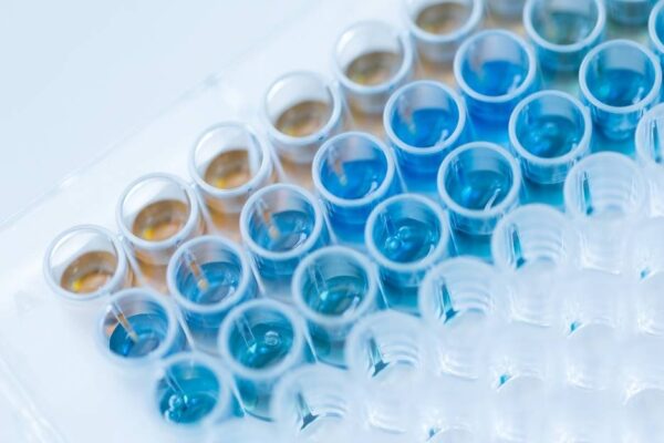 Calcium Assay Importance in Medical Research